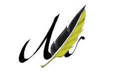 drmemetyazar-spowboost